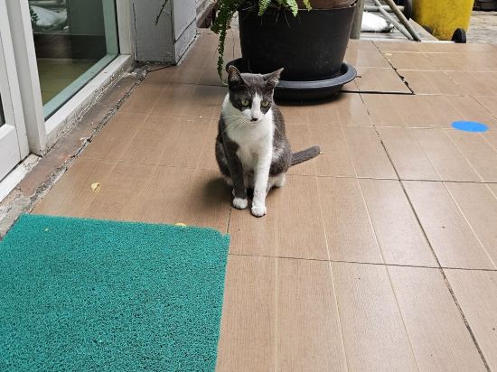 南茶素坤逸39號酒店優惠