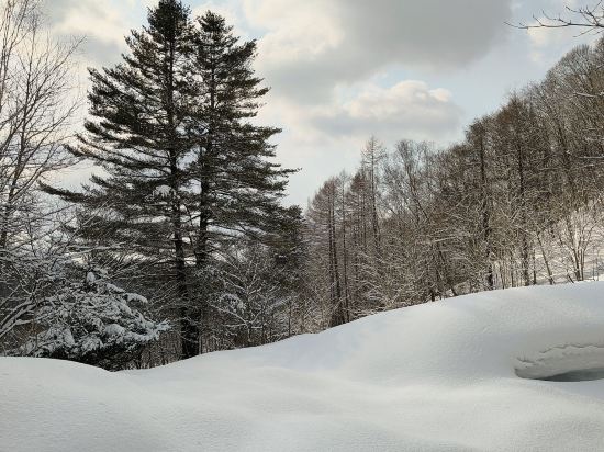 ホロホロ山荘 クーポン