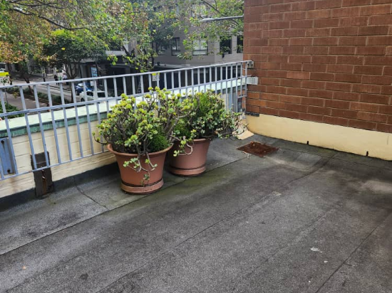 悉尼馬克利公寓酒店優惠