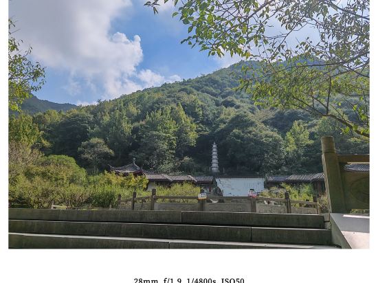 青藤藝宿（寧波北侖銀泰城店）優惠