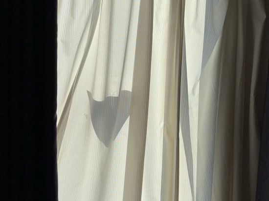 1號房客飯店-上野站優惠