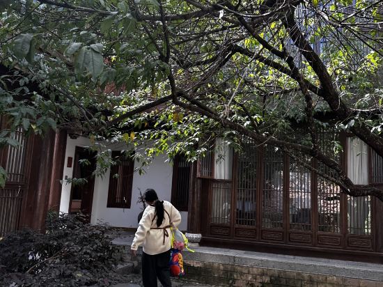 璞石雪山度假飯店（日照金山屋頂觀景店）優惠