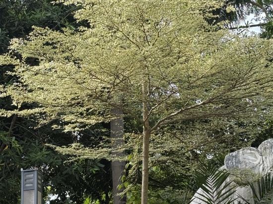 雲南琢舍酒店優惠