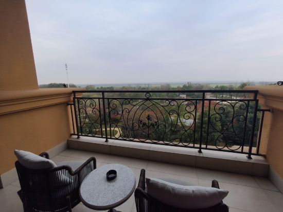 岳陽鉑爾曼酒店優惠