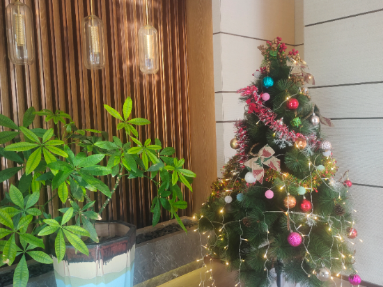 廈門瑞麗飯店（滙景廣場翔安區政府店）優惠