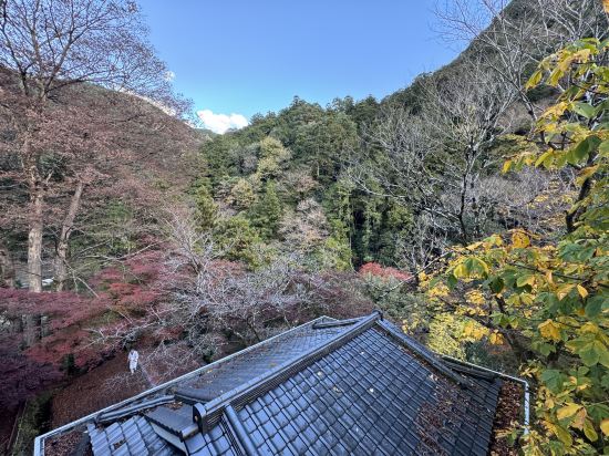 氷川郷麻葉の湯　三河屋旅館 クーポン