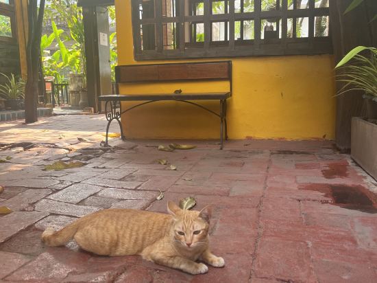 長美之家住宿加早餐旅館（小村子）優惠