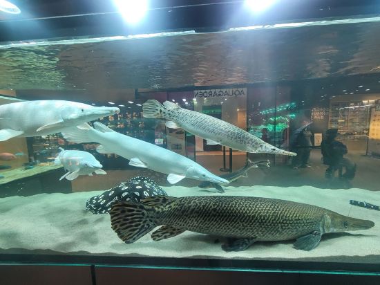 上海馨樂庭虹橋中心公寓酒店優惠