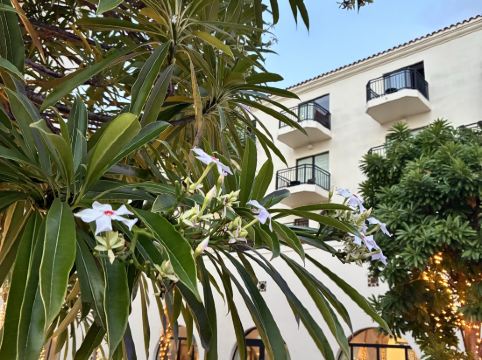 ホテル日航アリビラ クーポン