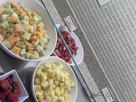 紐約法拉盛/拉瓜地亞機場凱悦嘉軒酒店優惠