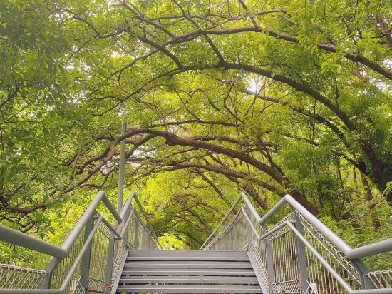 東大阪國際派精選酒店優惠