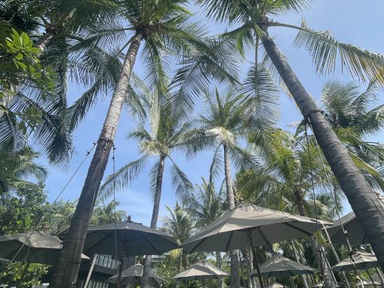 Kimpton Kitalay Samui, an Ihg Hotel優惠