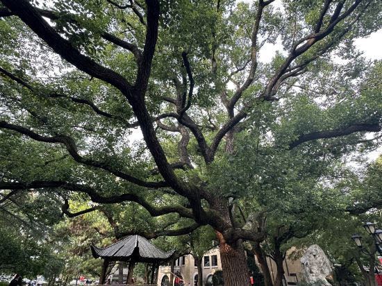 上海興國賓館麗笙精選優惠