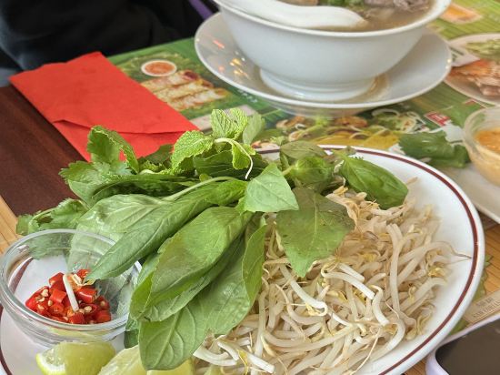 哥本哈根斯迪爾酒店優惠