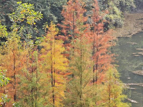 麗楓酒店（中山利和廣場店）優惠
