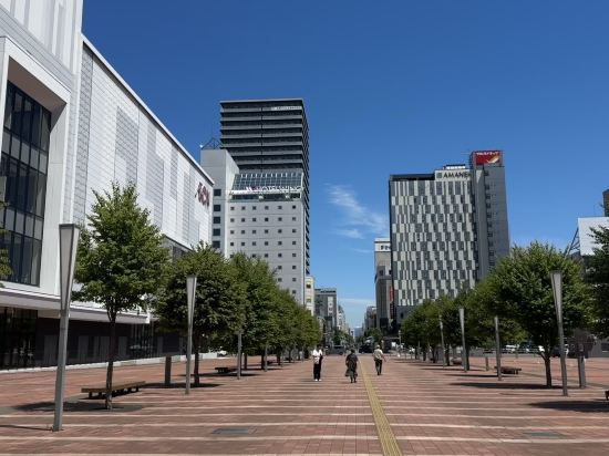 露櫻飯店旭川站前一條通店優惠