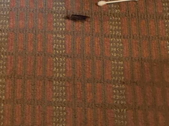 貝斯特韋斯特優質西科維納酒店優惠