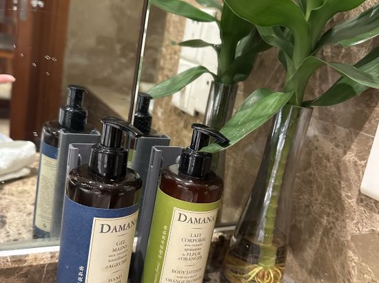 重慶解放碑皇冠假日酒店優惠