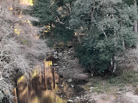 赤目温泉隠れの湯 対泉閣 クーポン