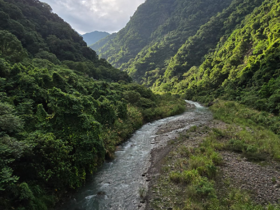 苗栗泰安觀止溫泉會館優惠