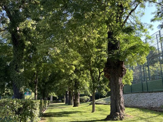 馬德里皮歐王子酒店優惠