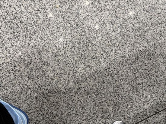 銀色棕櫚飯店優惠