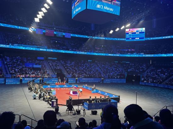 新濠天地-澳門頤居優惠