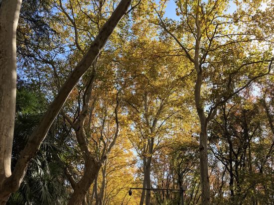 秋果酒店（深圳車公廟上沙地鐵站店）優惠