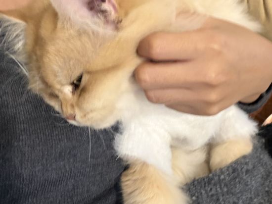 澳門盛世酒店優惠