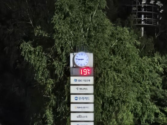 용평 리조트 쿠폰