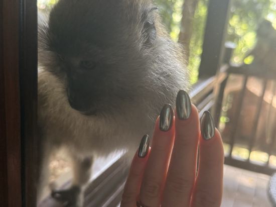 蘭卡威成功度假村優惠