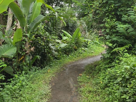 阿拉姆潘戈庫姆烏佈德飯店優惠