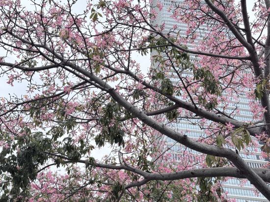 深圳深鐵皇冠假日酒店優惠