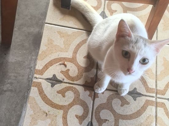 ベッセルイン札幌中島公園 クーポン