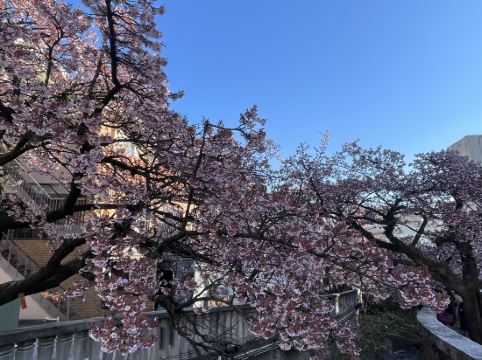 リブマックスリゾート熱海Ocean クーポン