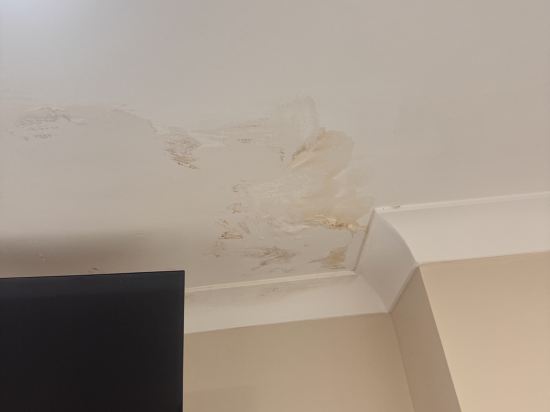 公園大道貝斯沃特酒店優惠