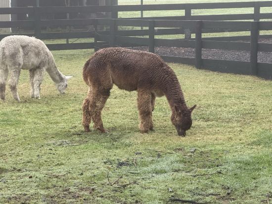 羅託路亞世外桃源旅舍優惠