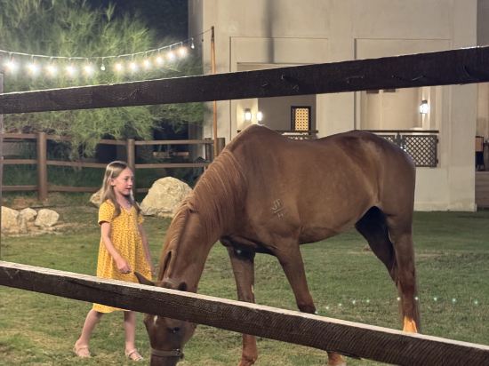 阿布扎比阿瓦扎巴豪華精選水療度假飯店優惠