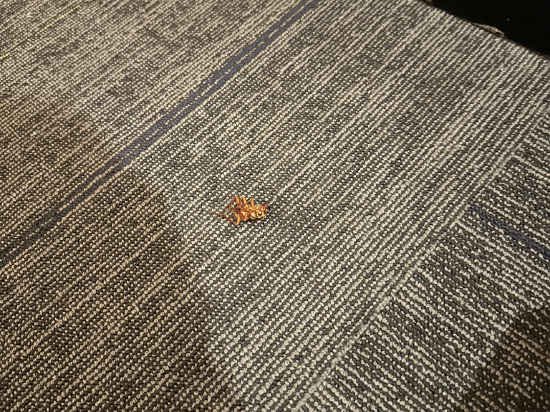 有戲電影飯店（廈門火車站萬象城店）優惠