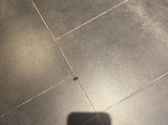 上海中山公園雲睿酒店優惠