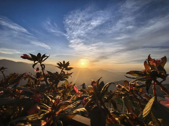 雲浮翔順象窩酒店優惠