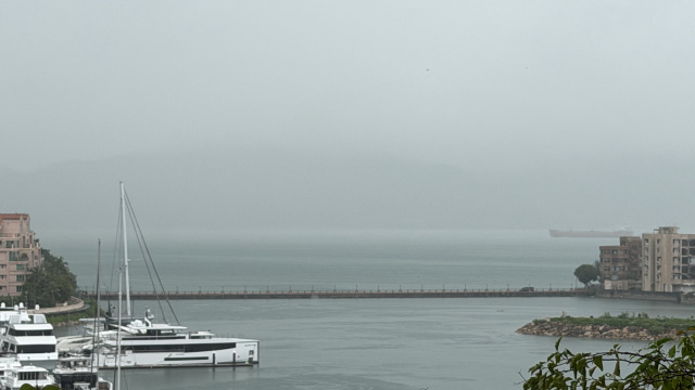 review picture