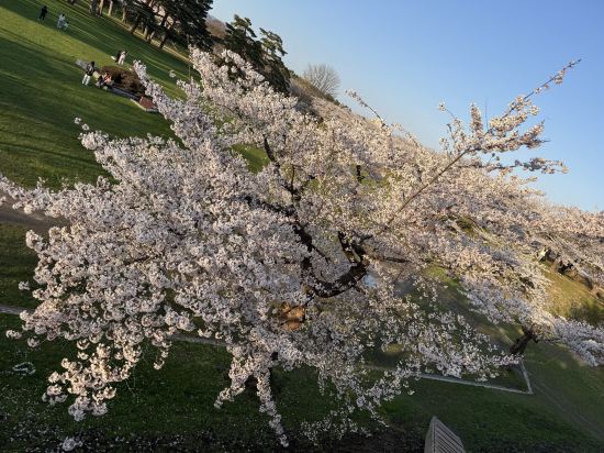 ホテルBRS函館五稜郭タワー前 クーポン