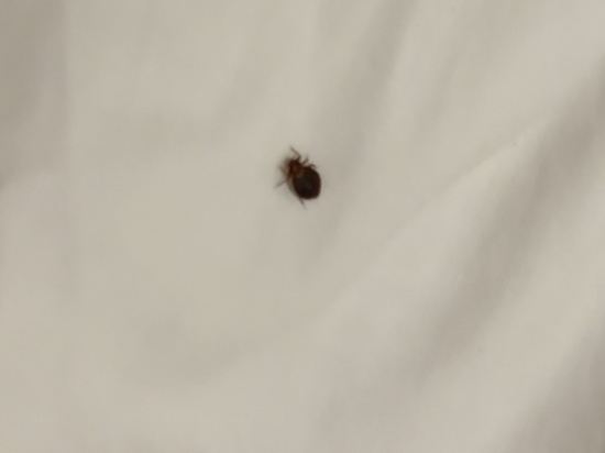 皇后中央飯店優惠