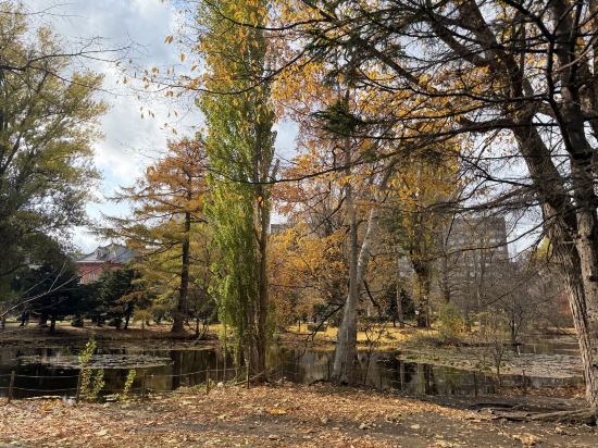 ベストウェスタン札幌大通公園 クーポン