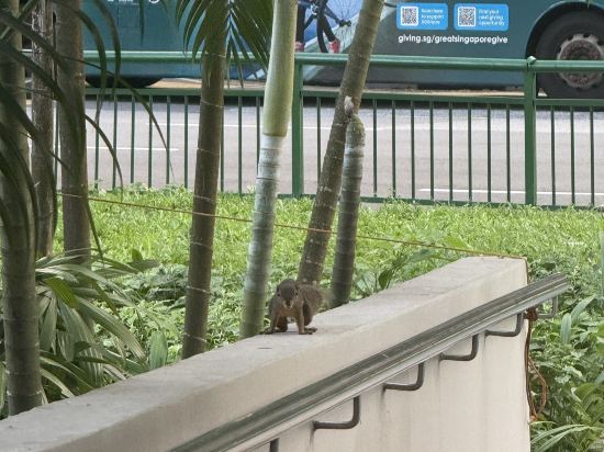 新加坡四季酒店 （Staycation Approved）優惠