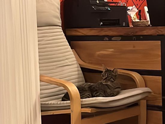 安卡拉迪普旅舍優惠