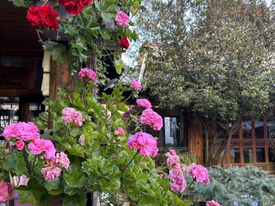 麗江老謝車馬店優惠