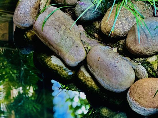 麗江古城瀾舍設計師公館客棧優惠