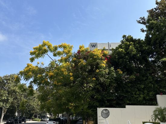 西洛杉磯 - 西貝弗利山酒店優惠